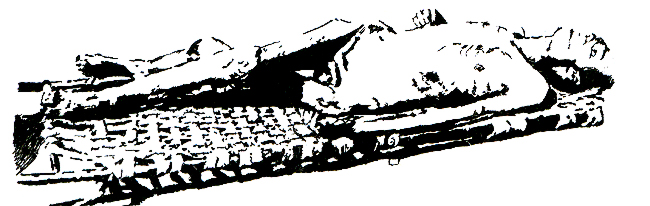 8.2.
Drawing (based on photography). 1988
Pen-and-ink on transparency film. 46x148 mm
