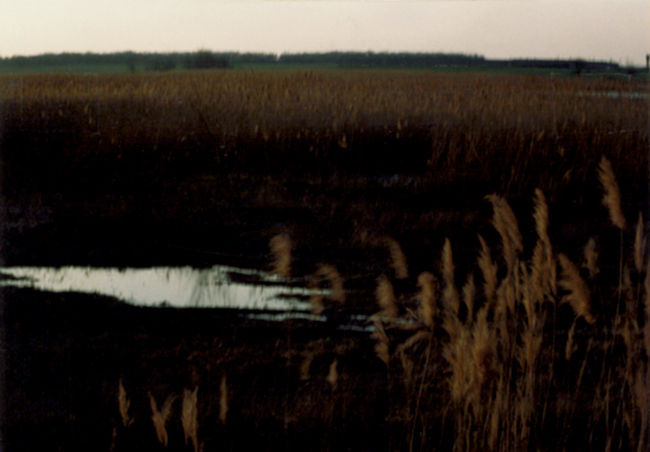 Timashevsk (Russia).
Photography, 1989