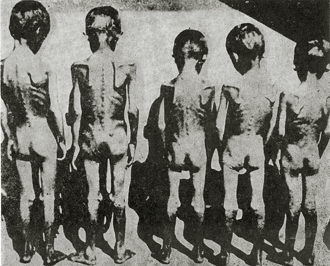 The German's concentration camps.
Photography, about 1942/45