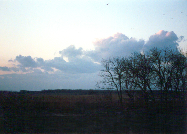 Timashevsk (Russia).
Photography, 1989